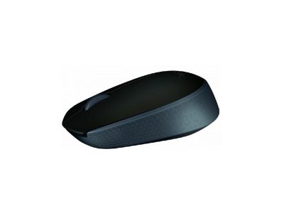 Logitech M171 souris RF sans fil